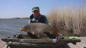 Рыбалка на сазана, тут обитает крупная рыба !