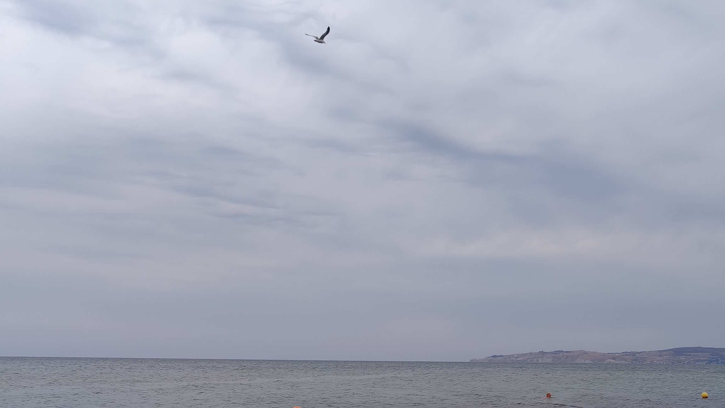 Крым. Береговое. Золотой пляж. Август 2025. #крым #береговое #золотойпляж #черноеморе #crimea #sea смотреть онлайн