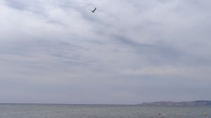 Крым. Береговое. Золотой пляж. Август 2025. #крым #береговое #золотойпляж #черноеморе #crimea #sea