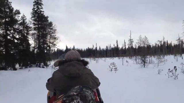 Снегоход на целине!