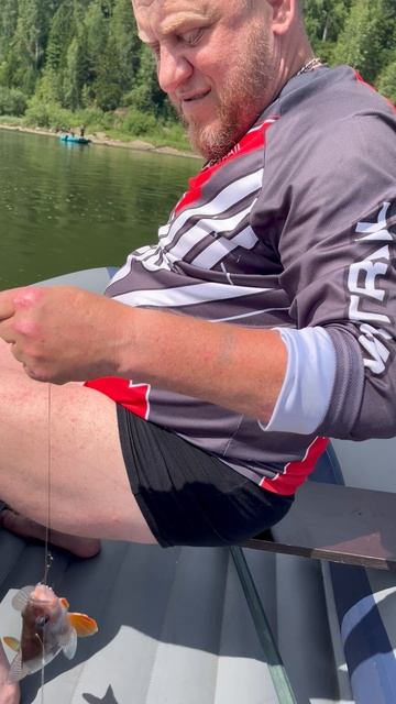 Окунь на живца смотреть онлайн