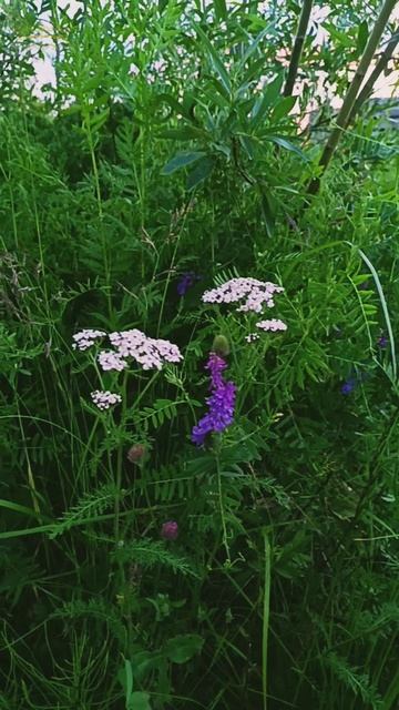 Воркута. Если ясный день -это хорошо..... смотреть онлайн