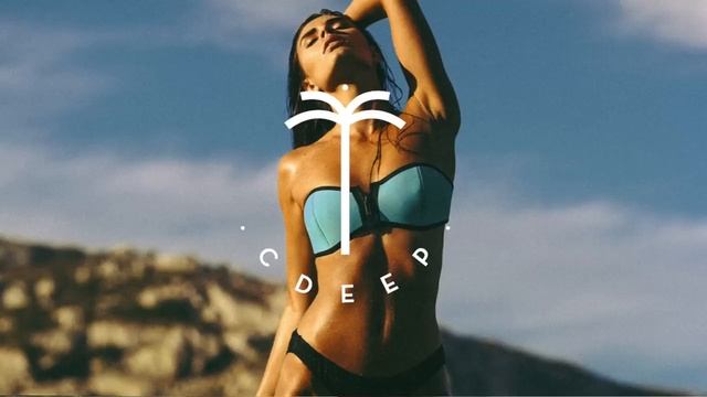 Brianna - Lost in Istanbul (Pascal Junior Remix) смотреть онлайн