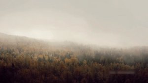 "Туман" (кавер О. Газманов/Nansi & Sidorov) Елена Шкурко.mp4