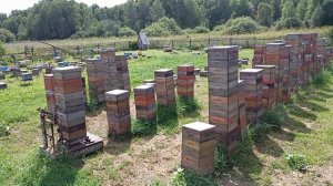 ответ Петровичу о 15 корпусах