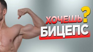 4 эффективных упражнения для массивного бицепса