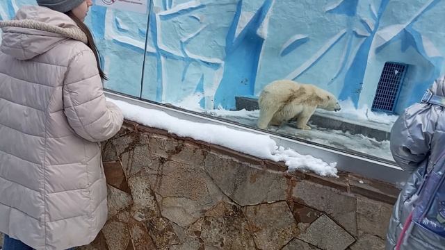 Зоопарк смотреть онлайн