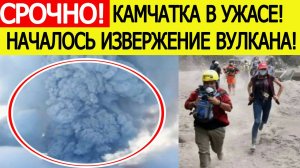 Извержение вулкана на Камчатке. Страшные видеокадры. Что известно.  Новости сегодня 03.08.2025