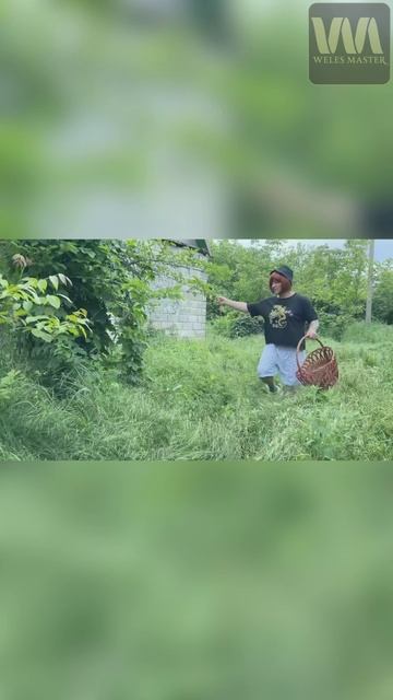 Первое знакомство с Татьяной Картавиной из Парка скотов Тайгад (ПАРОДИЯ) смотреть онлайн