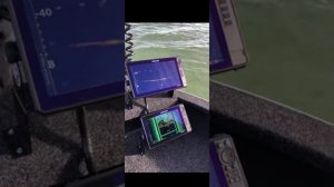 Scout wide & 180 от lowrance active target 2 на HDS Pro