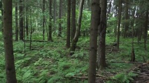 ДЖЕКПОТ НА КОПЕ! С СЕСТРОЙ НАШЁЛ ДОРОЖЕННУЮ МОНЕТУ!