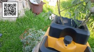 27-06-2025 Тестирую измельчитель веток Партнер. Садовый шредер. Partner for garden EGS 3000