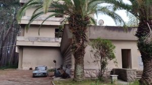 Абхазия Пицунда рынок цены Цитрусовый совхоз пирс 3 августа 2025 г.