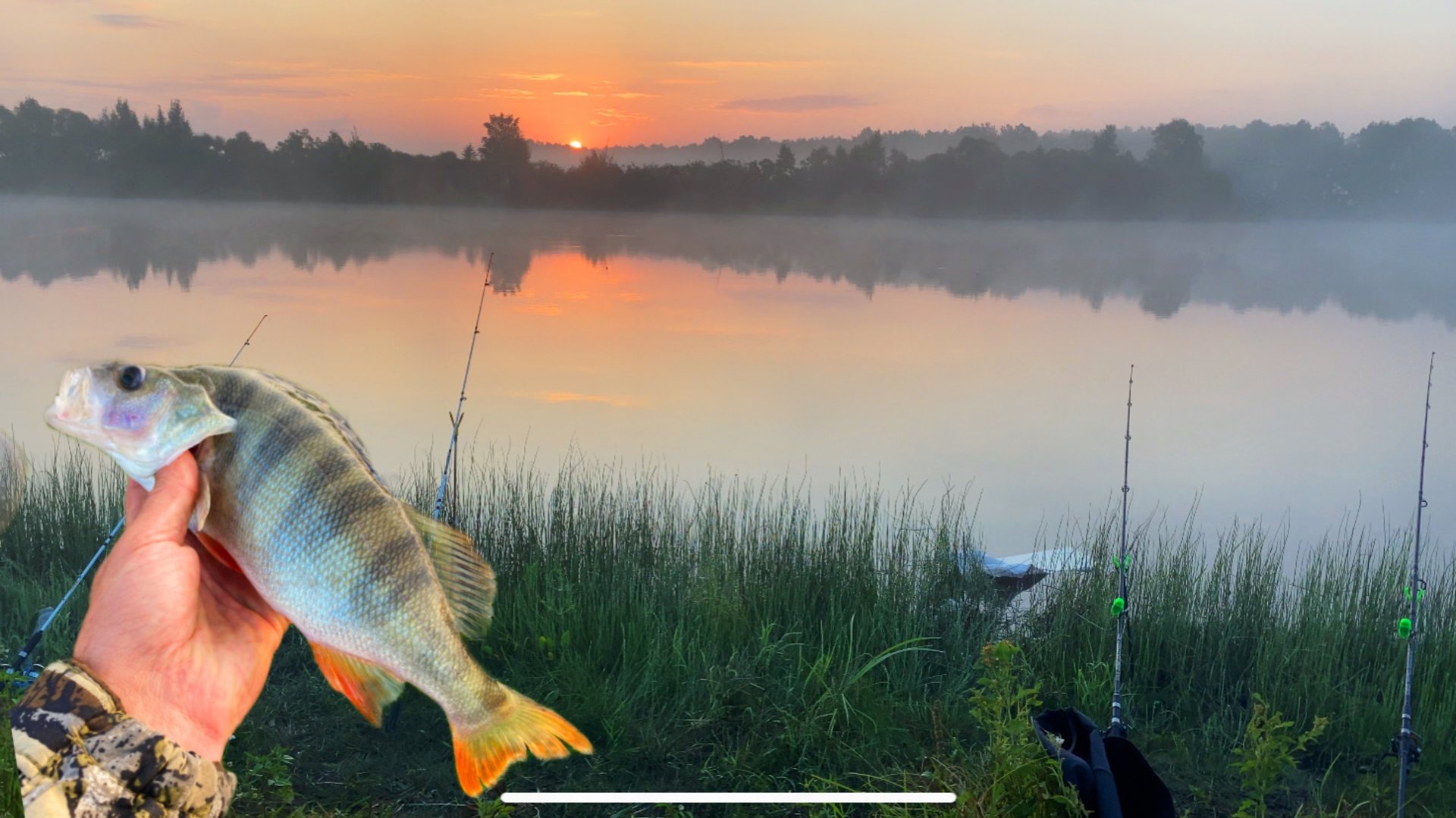 РЫБАЛКА С НОЧЕВКОЙ!ЛОВИМ КРУПНЫХ ОКУНЕЙ на ЖИВЦА!ЖАРИМ ЯИЧНИЦУ в КОТЕЛКЕ!! смотреть онлайн