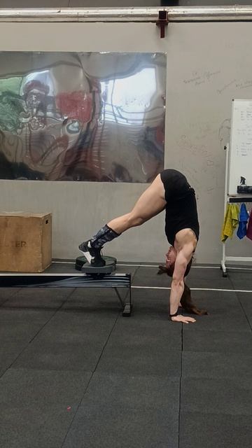 Подводящие к ходьбе на руках.mp4