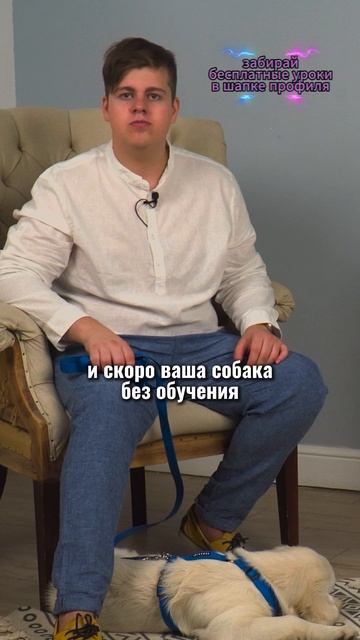 🎁Бесплатные уроки. Жми сюда! смотреть онлайн