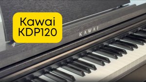 КТО ТЫ, ВОИН?! Цифровое пианино KAWAI KDP120 | Vismedia | Висмедиа | Самый крупный клавишный салон