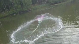 Рыболовный матч между Спиннингом и Кастинговой сетью