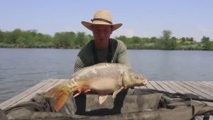 Рыбалка на кормушку флэт фидер, поклёвки амура и карпа !