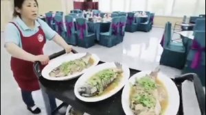 Санаторий “Рабочий” и город Удаляньчи | Обзор процедур и живописных окрестностей