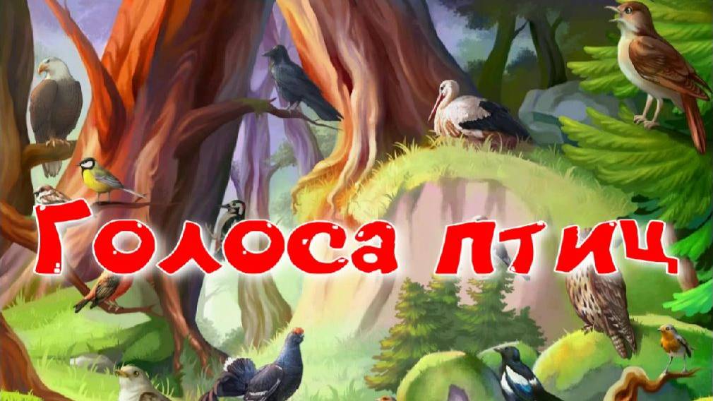 Голоса птиц России. смотреть онлайн