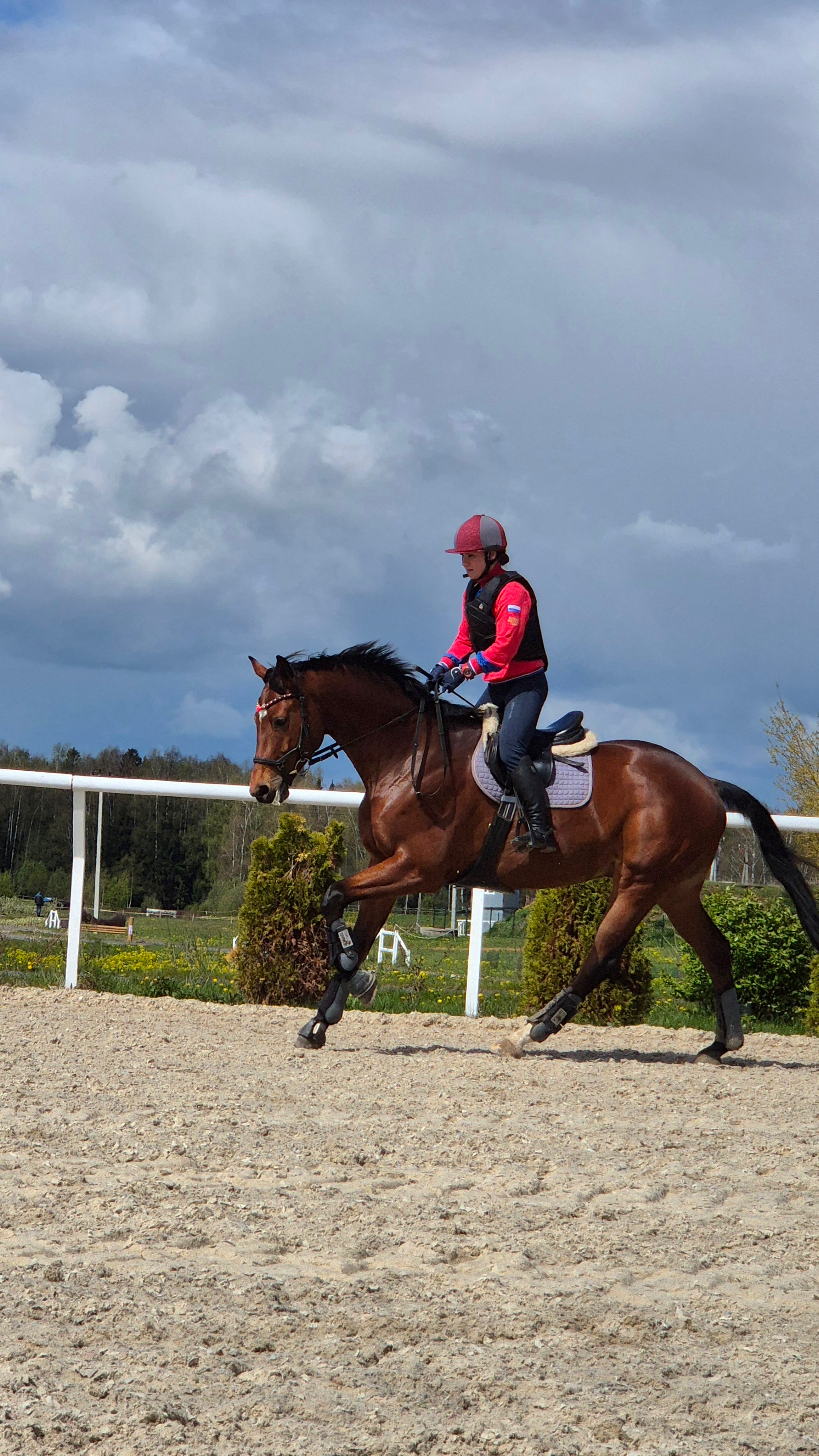 Кросс-кантри, тренировки, кросс, троеборье - все это конный спорт💪🏇