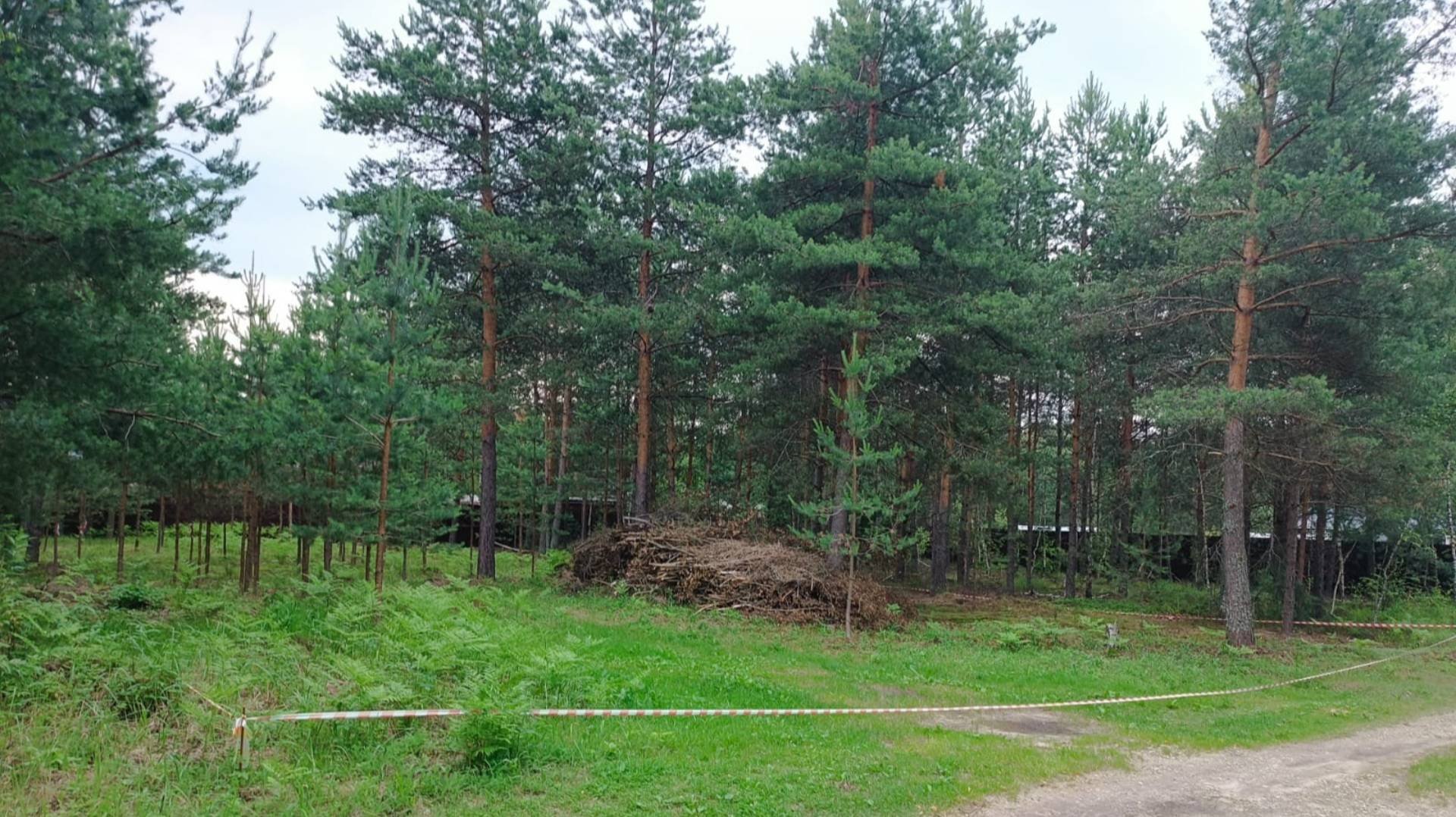 567. Участок 8 соток снт Калинка, г. Электрогорск, Московской области смотреть онлайн