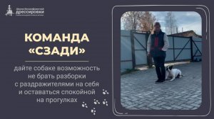 «Сзади» — упражнение, которое помогает собаке справиться с напряжением и создать точку опоры