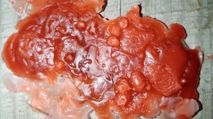 Онлайн ритуал Возрождение на женское здоровье, молодость, красоту и привлекательность