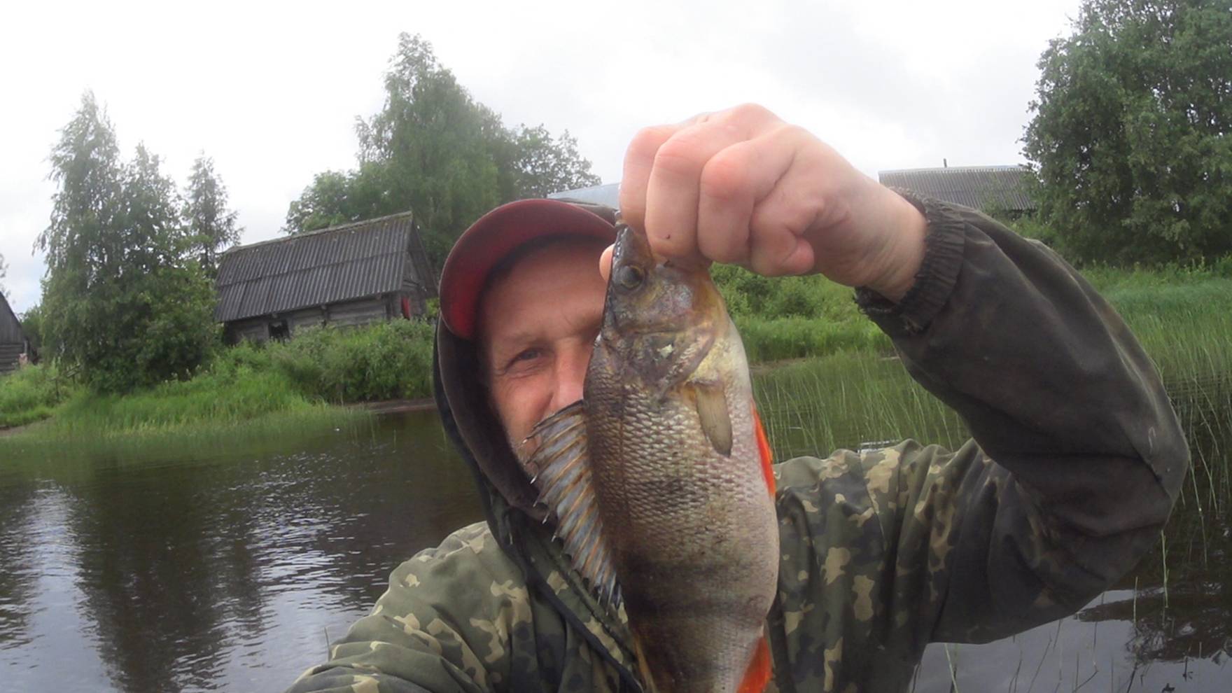 Споймал в деревне крупного окуня.Привёз лесовоз горбыля. смотреть онлайн