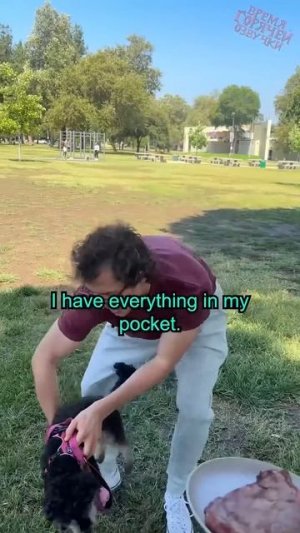 Когда у тебя в кармане есть всё