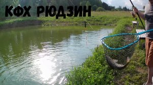 КФХ Рюдзин. Лето, карпы, амуры.
