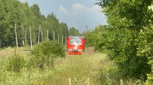 «Не видно путей!» Рельсовый автобус РА1 - 0027 на перегоне, июль 2025 года