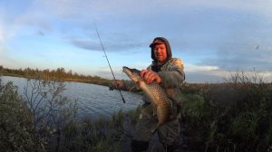 Щучий клондайк, учусь ловить на поверхностные приманки.