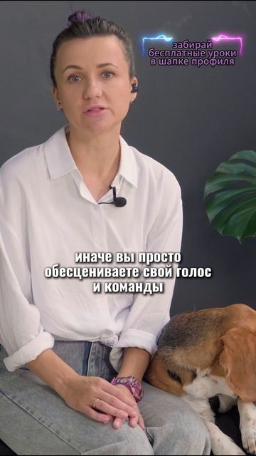 🎁Бесплатные уроки. Жми сюда! смотреть онлайн