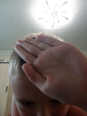 обзор шалаша