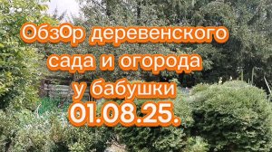 Прогулка по огороду у бабушки в деревне 1 августа 2025 года