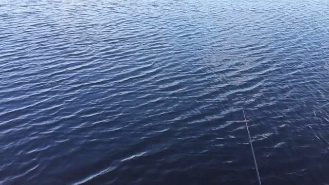 Рабалка на Вычегде 31.07.2025