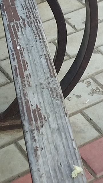 Воробьи