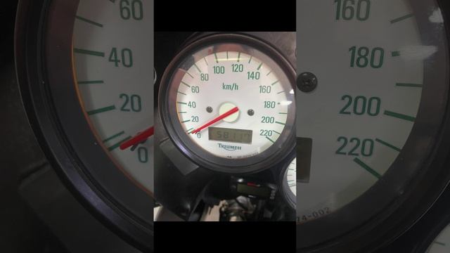 Triumph Tiger смотреть онлайн