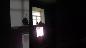 Внутренности фонарей РКУ и ЖКУ