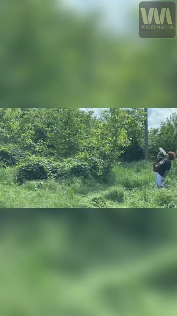 Как Татьяна Картавина ходила на рынок (ПАРОДИЯ) смотреть онлайн