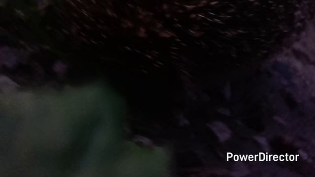 🏡Еж в гостях. Закатки. Домашние дела. смотреть онлайн