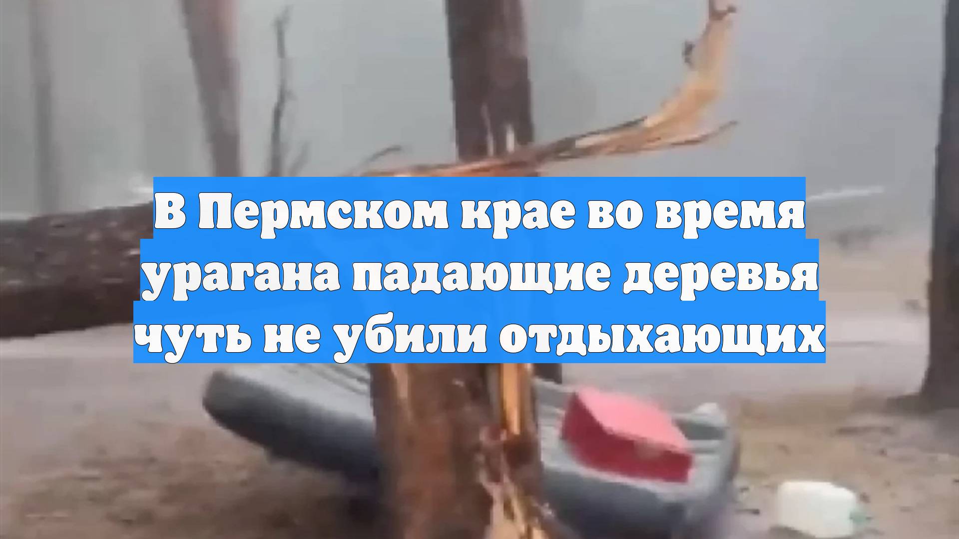 В Пермском крае во время урагана падающие деревья чуть не убили отдыхающих смотреть онлайн