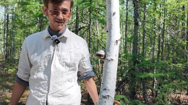 Простые факты про грибы