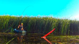 В ЛОГОВЕ ЛИНЕЙ на колхозном пруду!! Рыбалка на поплавок