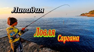Новый Спиннинг в Деле. Ловля саргана на пилькер. Морская рыбалка в Ливадии