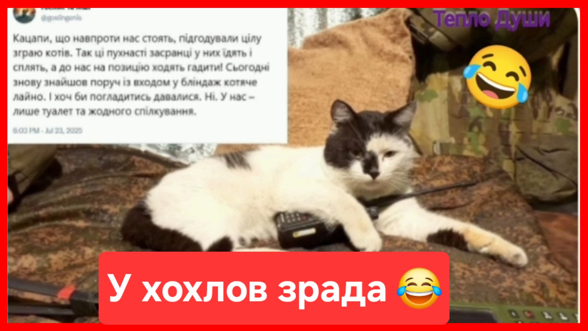 У хохлов очередная зрада 😂 смотреть онлайн