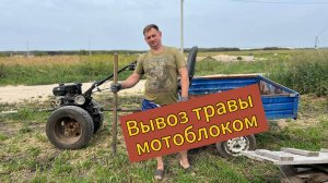Мотоблок в работе. Вывоз травы