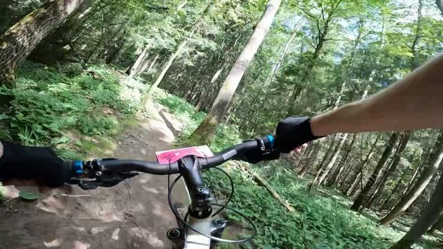 Скалба никого не щадит